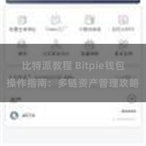 比特派教程 Bitpie钱包操作指南：多链资产管理攻略