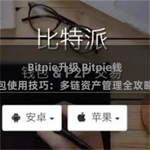 Bitpie升级 Bitpie钱包使用技巧：多链资产管理全攻略