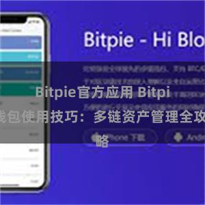 Bitpie官方应用 Bitpie钱包使用技巧：多链资产管理全攻略