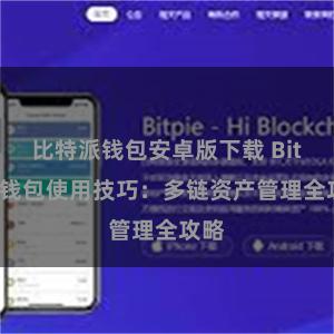 比特派钱包安卓版下载 Bitpie钱包使用技巧：多链资产管理全攻略