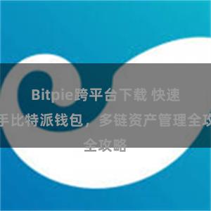 Bitpie跨平台下载 快速上手比特派钱包，多链资产管理全攻略