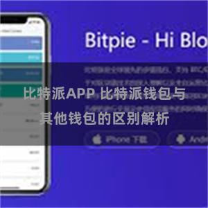 比特派APP 比特派钱包与其他钱包的区别解析