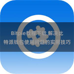 Bitpie教程下载 解决比特派钱包使用问题的实用技巧