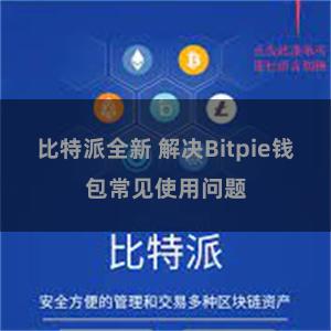 比特派全新 解决Bitpie钱包常见使用问题