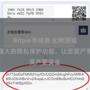 Bitpie手续费 比特派钱包：强大的隐私保护功能，让您资产更安全