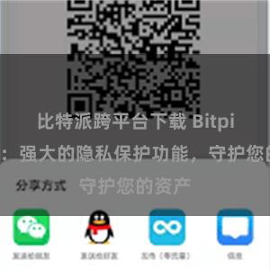 比特派跨平台下载 Bitpie钱包：强大的隐私保护功能，守护您的资产