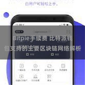 Bitpie手续费 比特派钱包支持的主要区块链网络解析