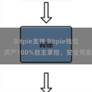 Bitpie支持 Bitpie钱包：资产100%自主掌控，安全可靠。