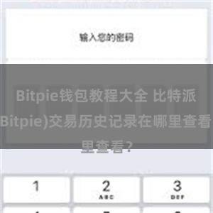 Bitpie钱包教程大全 比特派(Bitpie)交易历史记录在哪里查看？