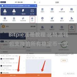 Bitpie注册教程 比特派钱包支持的所有稳定币一览