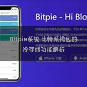 Bitpie系统 比特派钱包的冷存储功能解析